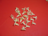 Nylon Body Side Molding Fasteners 1/2"-5/8"
