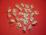 Nylon Rear Fender 1" to 1.25" Lower Molding Fasteners Clips GM